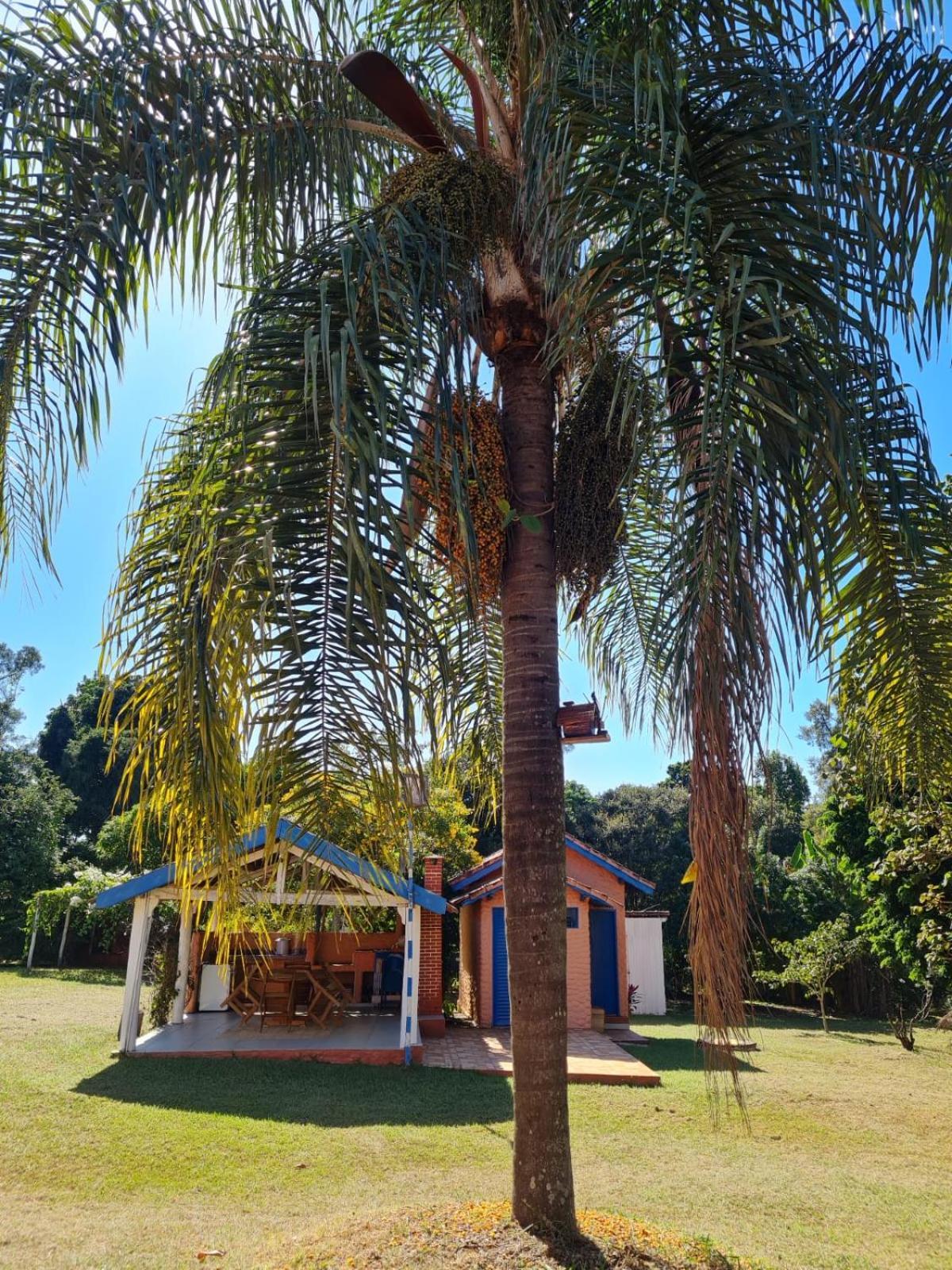 Chácara Santo Antonio Brotas Exterior foto